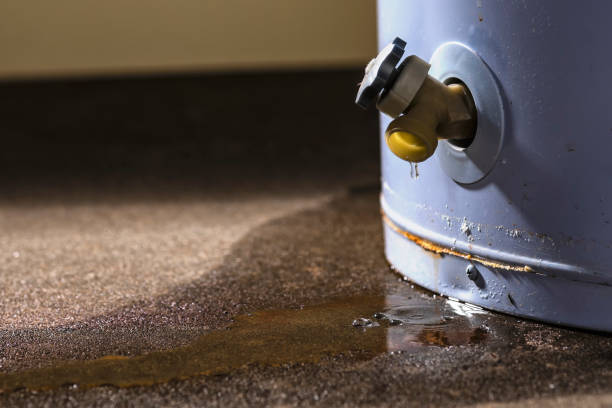Best Water damage restoration mold remediation  in Pagould, AR