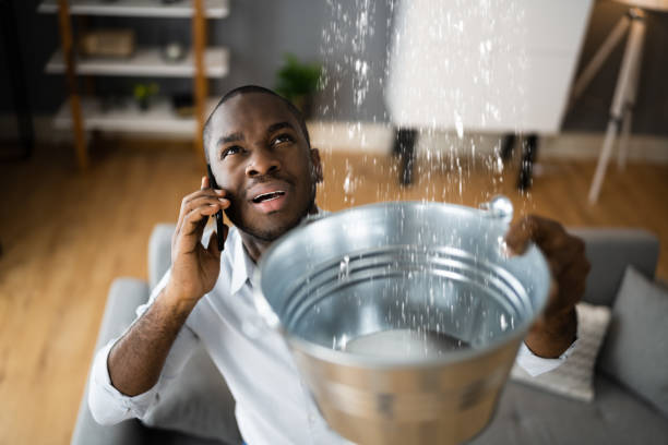 Best Water damage cleanup near me  in Pagould, AR