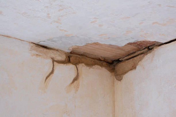 Best Water damage restoration near me  in Pagould, AR