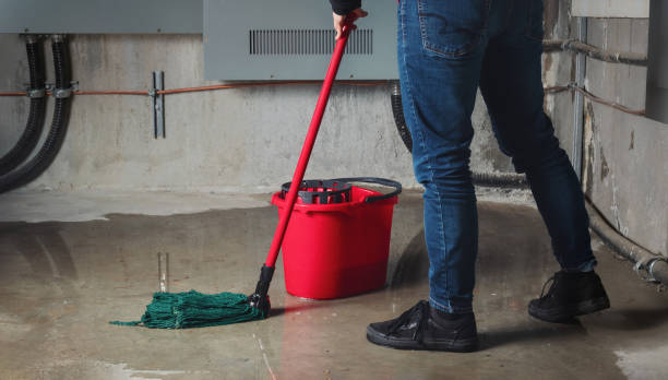Best Carpet water damage restoration  in Pagould, AR