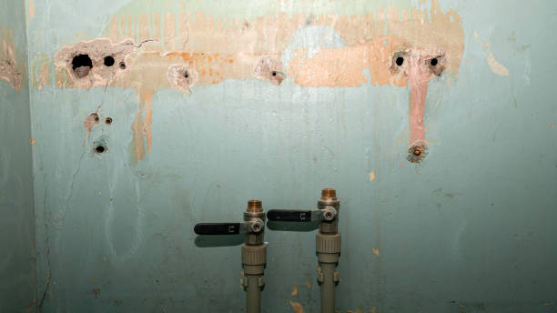Best Flood restoration services  in Pagould, AR
