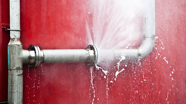 Best Water damage restoration cost  in Pagould, AR